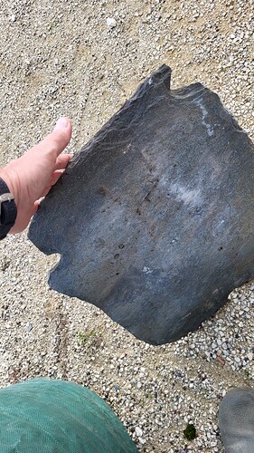 20251128_154311_resized