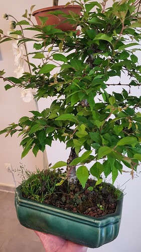 20250419_162353_resized