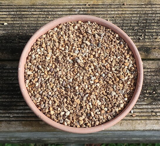 pin thunberg semis 2024 03 19 (2)