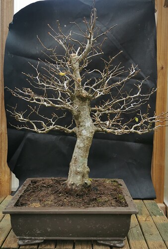 2025-11-01-17-36-30-762