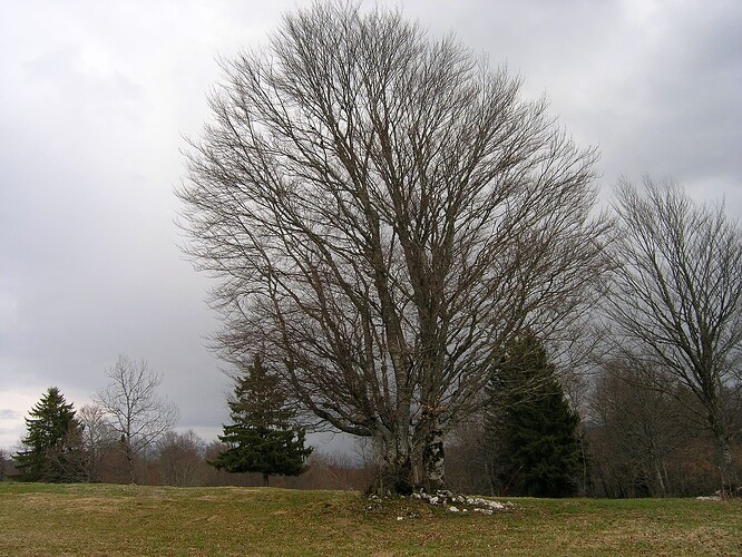 07c