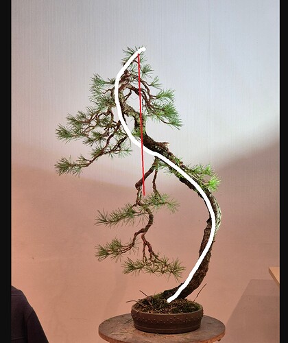 ___________DSCN01-01