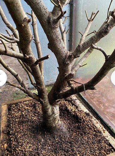 Screenshot_20260203_120404_com.android.chrome_edit_9946646388065