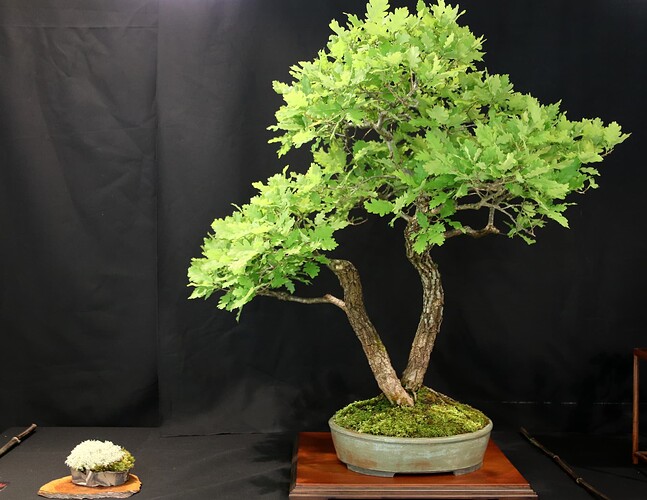 2025-05 Marcoussis (20)