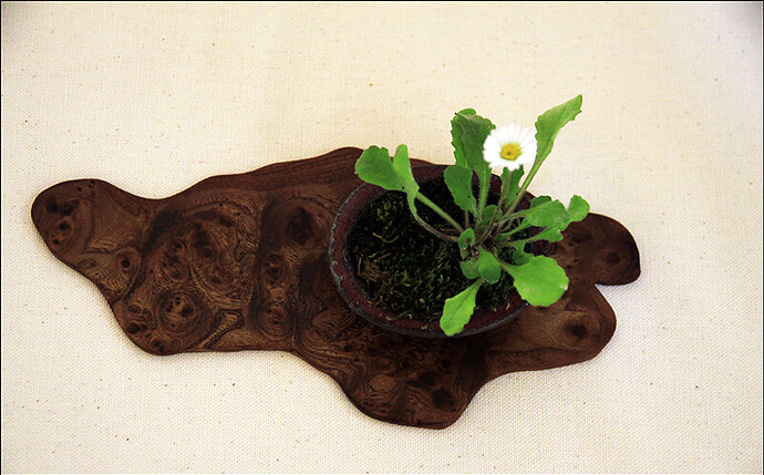 2025.05.24(50)copie1