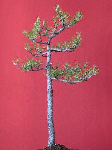 484431843_651709700738481_3199896307772885838_n