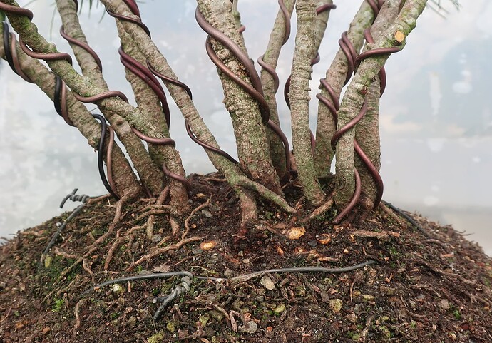 pin flexible 2025 11 27 (5)