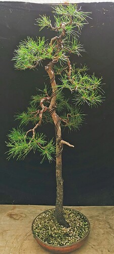 2025-08-21-15-45-02-865