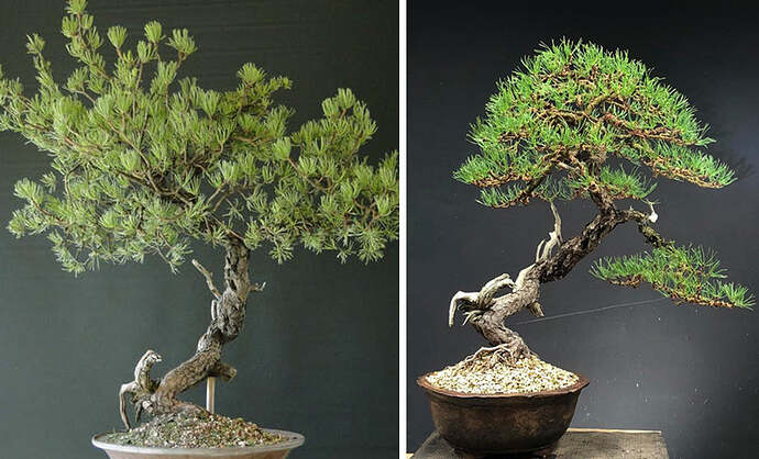 b_a_5963776a-3066-4ccb-840b-804f2bcef968_1024x1024