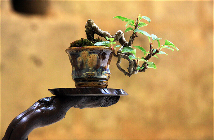 2025.05.25(19)copie1