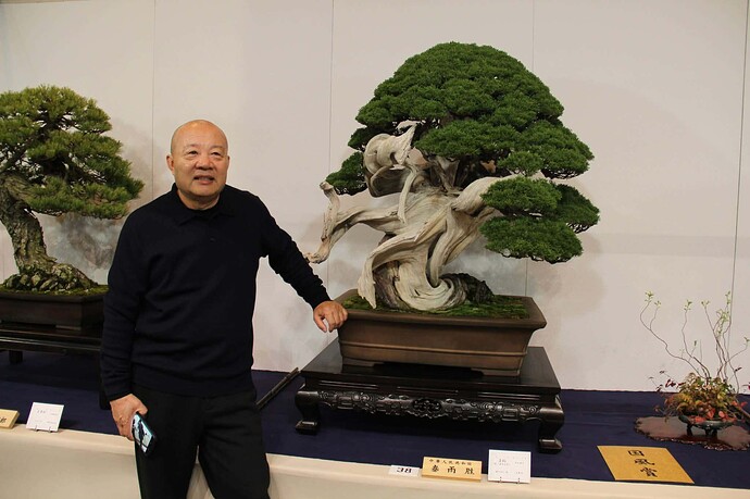 juniperus chinensis Kokufu100-2