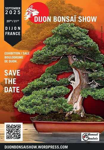 dbs25 (1)
