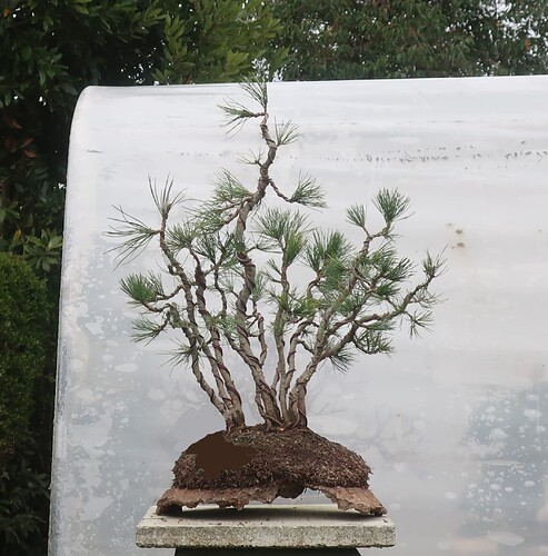 pin flexible 2025 11 27 (9virt)