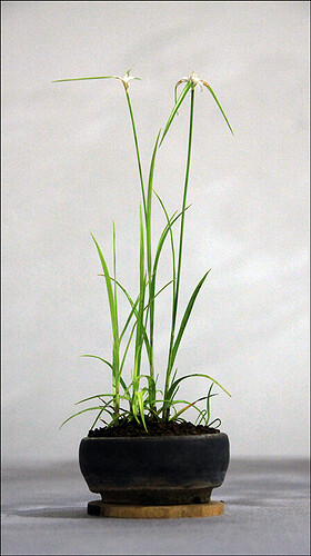 2024.10.20(18)copie1