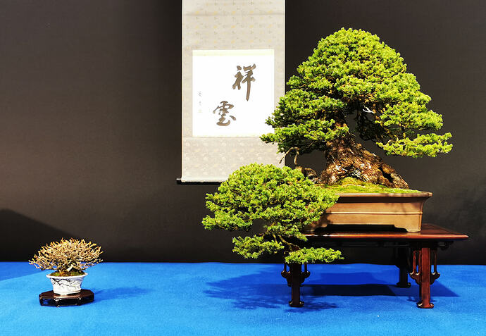 IMG_20260228_114753_edit_182740819716906