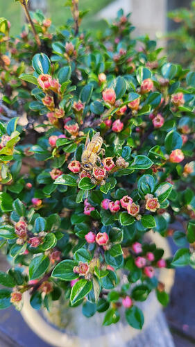 20260415_180701_resized