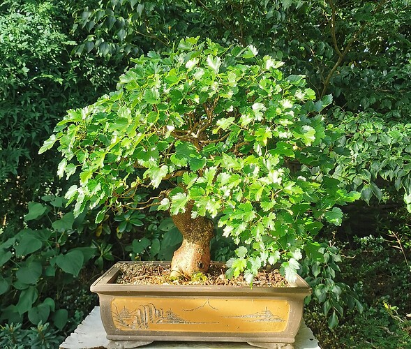 2025-08-29-18-59-12-578