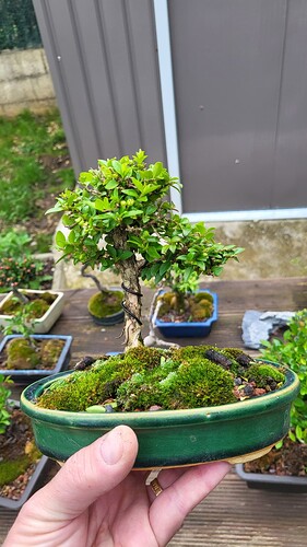 20250419_164921_resized