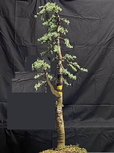 5a9b4e3653d34f209dedbaba00e224ea83268c4f