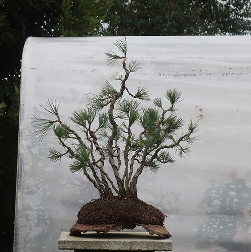 pin flexible 2025 11 27 (2)