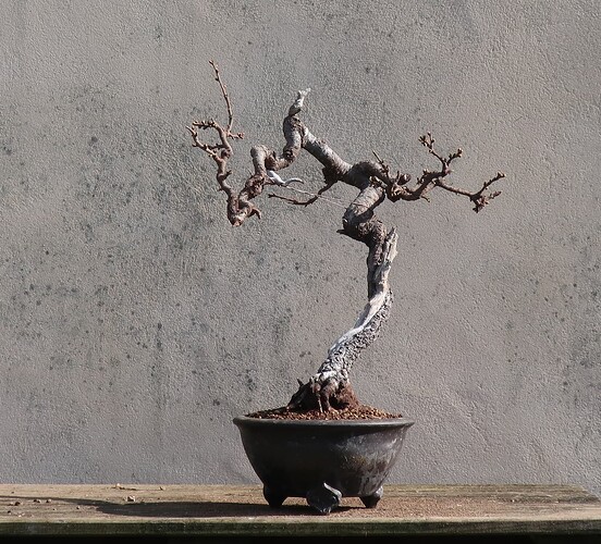 ste lucie 2024 03 21 (1)
