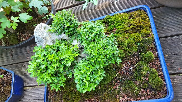 20250622_092821_resized