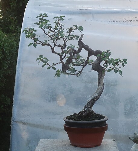 ste lucie 2026 06 22