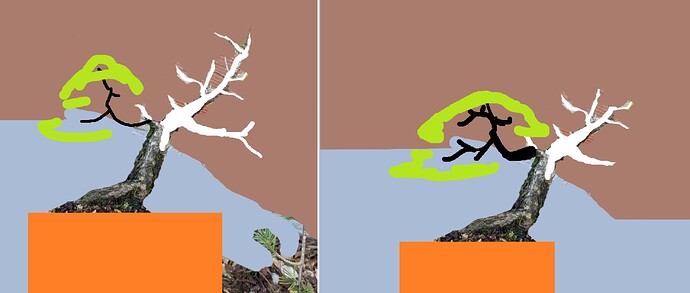 ___________DSCN01virt6