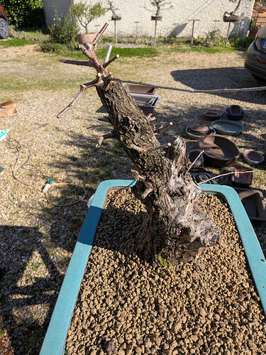 PXL_20260220_110906197.MP