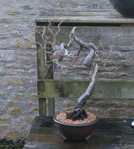 ste lucie 2026 03 19 (11)