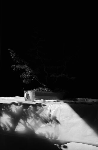 547744911_25701760149424516_332011358229685714_n