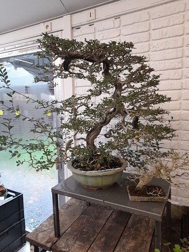 fc29591d-f23d-48d4-a93f-858a7aedbb49-copied-media~2