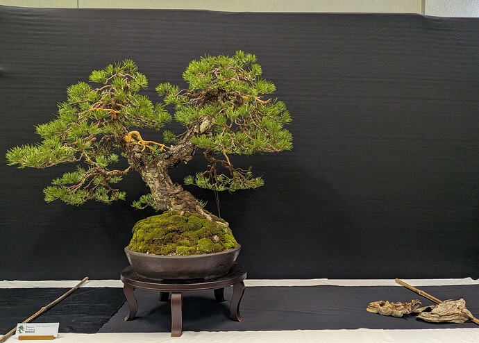 PXL_20260301_103752330