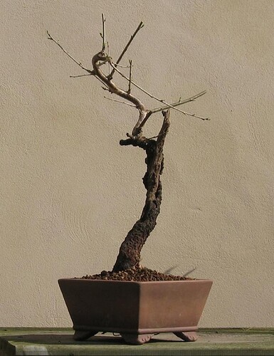 ste lucie 2010 04 06 003