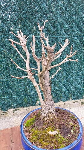 20250315_170828_resized