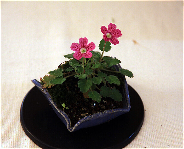 2025.05.24(114)copie1