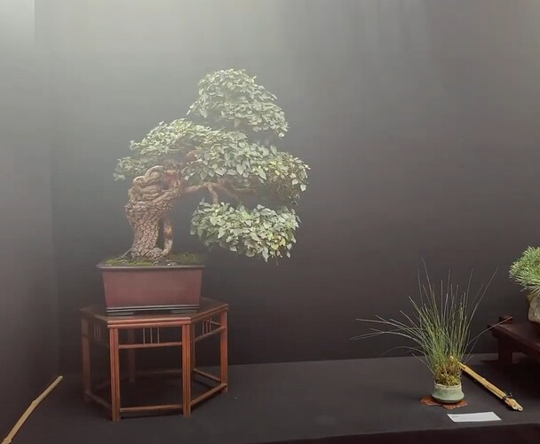 ___________DSCN01virt1-22