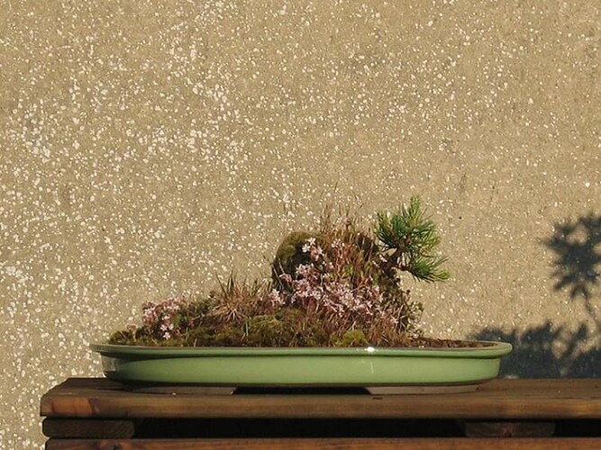 pin mugo ishizuke 2005 06 10 001