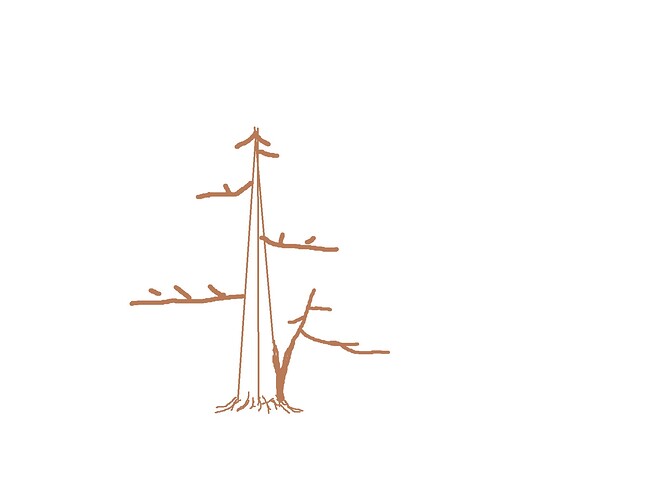 ___________DSCN01-1virt2