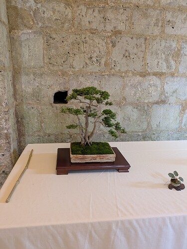 PXL_20250524_154433601