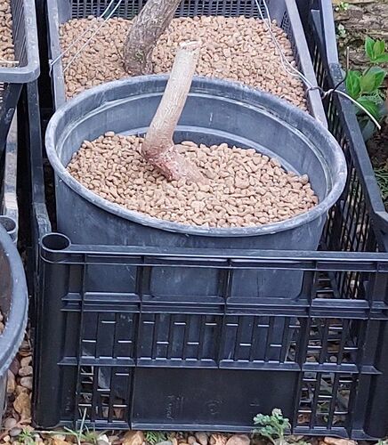 20240302_124808 - Copie - Copie - Copie - Copie - Copie