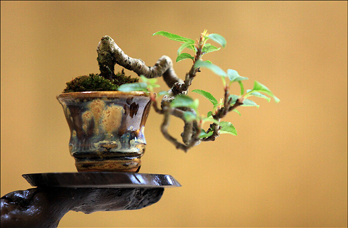 2025.05.25(20)copie1