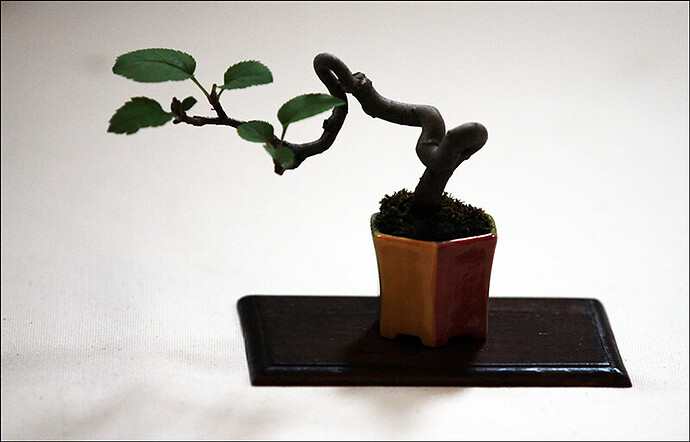 2025.05.25(28)copie1