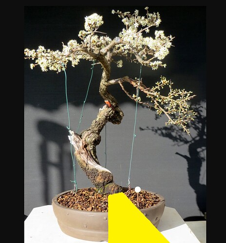 ___________DSCN126virt