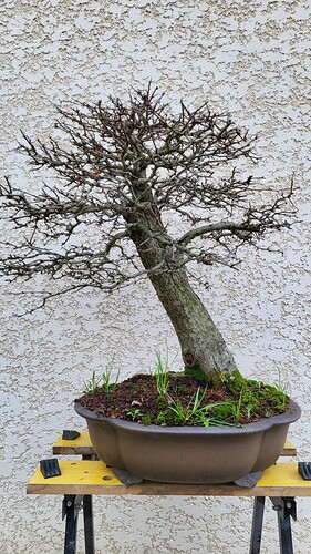 20251224_155439_resized