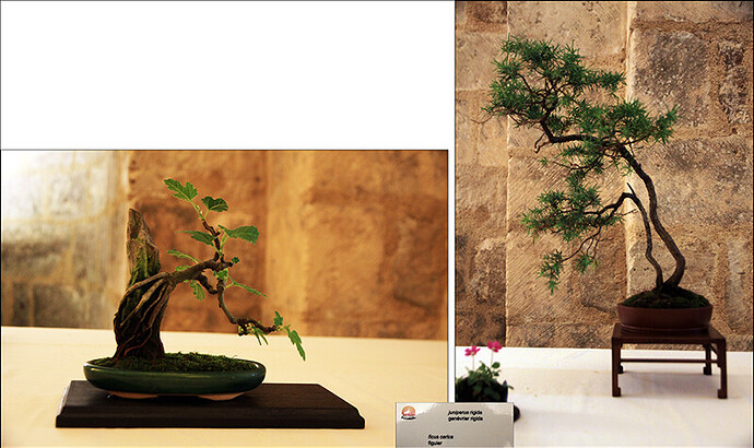 2025.05.24(montage112-115)1