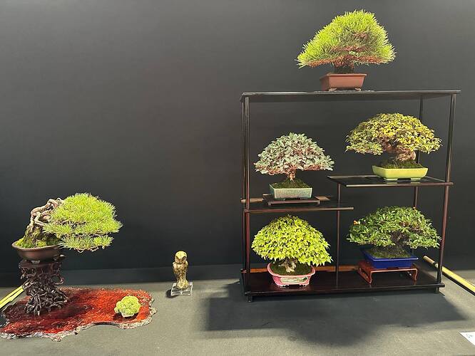 550183182_1420229503444030_2101848824603359248_n