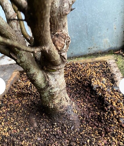 Screenshot_20260203_120322_com.android.chrome_edit_9893623724531