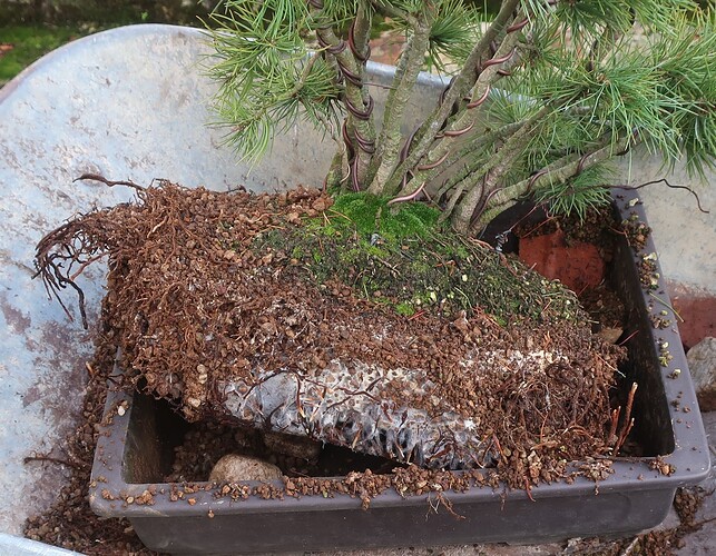 pin flexible 2025 11 26 (2)