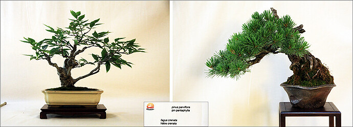 2025.05.24(montage71-72)1